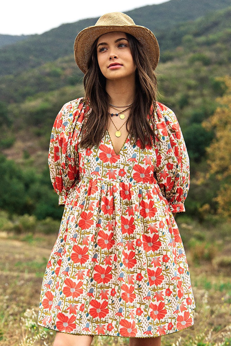 The Poppy Mini Dress Curvy