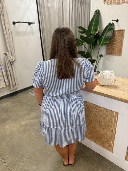 The Perfect Picnic Dress Curvy