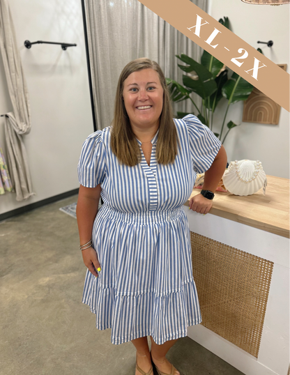 The Perfect Picnic Dress Curvy