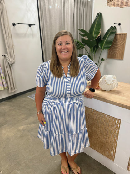 The Perfect Picnic Dress Curvy