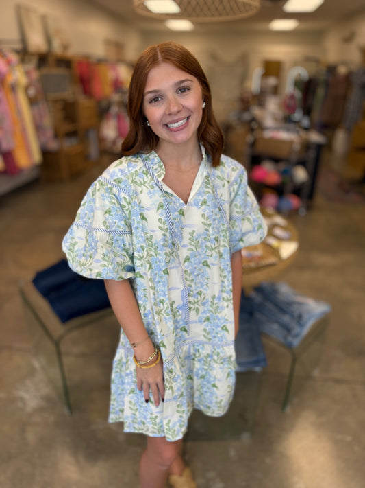 Soft & Whimsy BabyDoll Dress