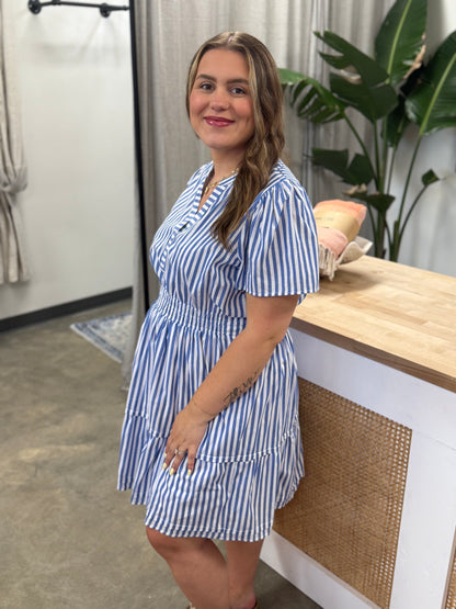 The Perfect Picnic Dress Curvy