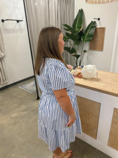 The Perfect Picnic Dress Curvy