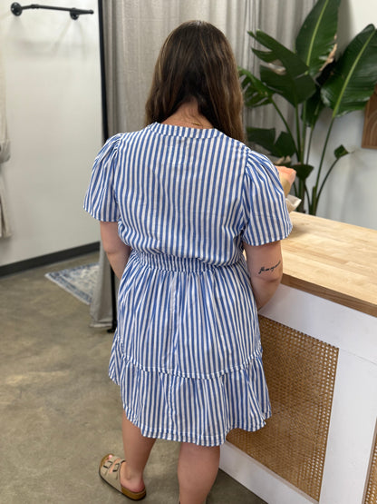 The Perfect Picnic Dress Curvy