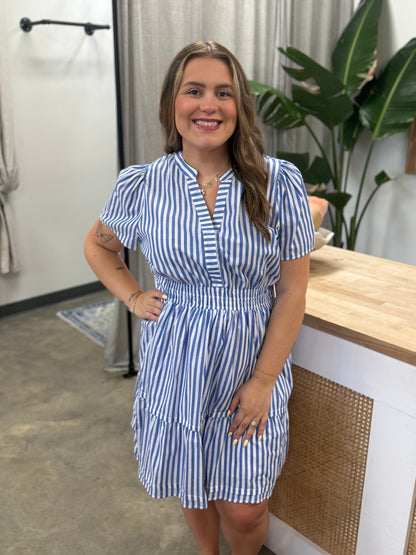 The Perfect Picnic Dress Curvy