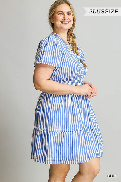 The Perfect Picnic Dress Curvy