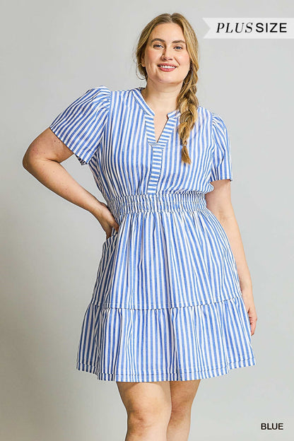 The Perfect Picnic Dress Curvy