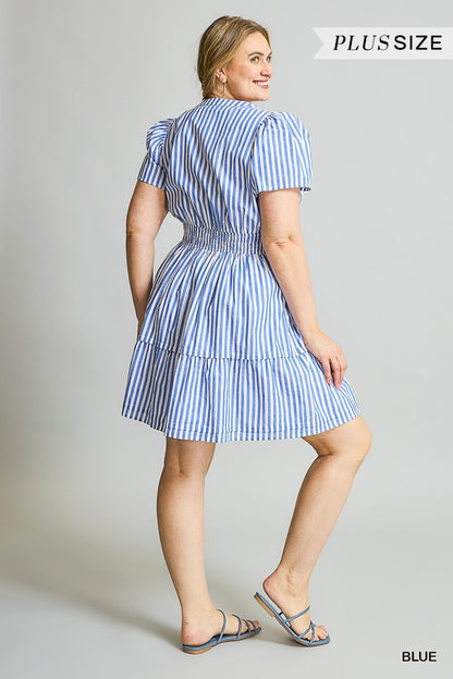 The Perfect Picnic Dress Curvy